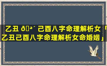 乙丑 🪴 己酉八字命理解析女「乙丑己酉八字命理解析女命婚姻」